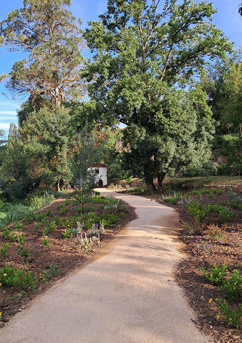 galeria-lagar-01