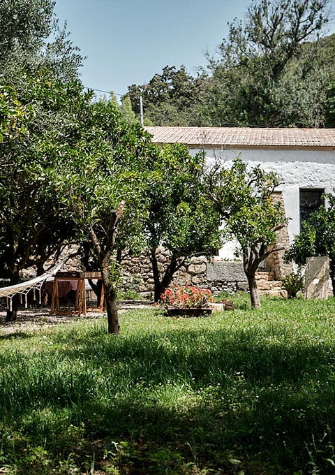galeria-lagar-02